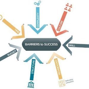 Helping Clients Grow Through New Business Lines